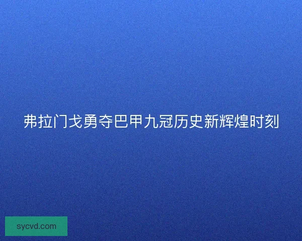 弗拉门戈勇夺巴甲九冠历史新辉煌时刻